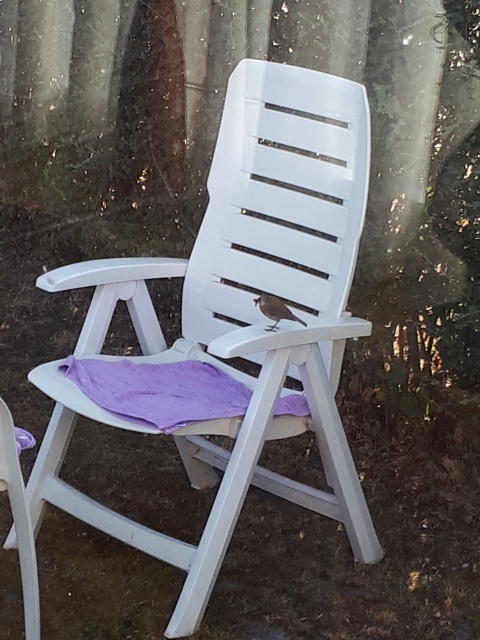 ../fotos/het_verlaat_2018/2018-08-01 09.07.14.jpg